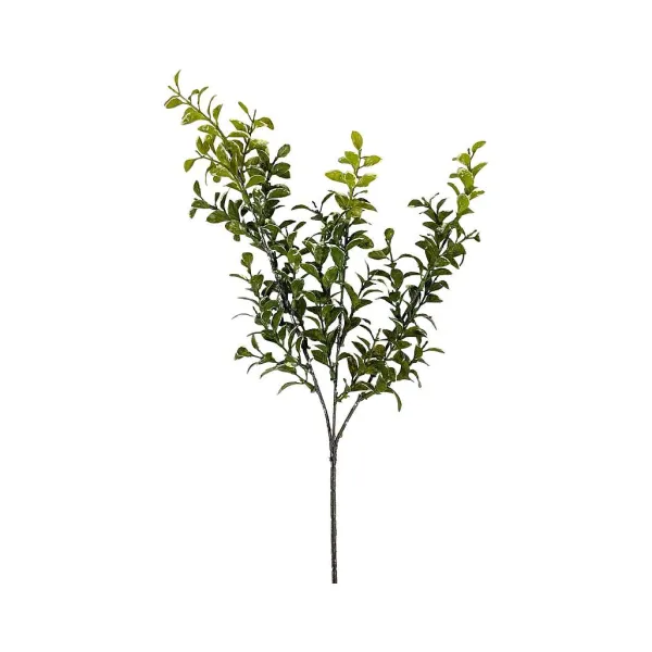 Greenery^CRI Privet Leaf Spring Green 27"