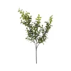 Floral^CRI Privet Leaf Spring Green 27"