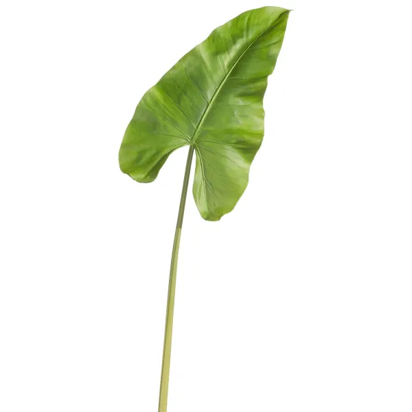 Stems^RAZ Real Touch Caladium Leaf Stem, 36"
