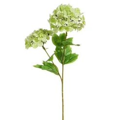 Floral Decor^RAZ Real Touch Green Hydrangea Spray, 19"