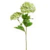 Spring Sprays^RAZ Real Touch Green Hydrangea Spray, 19"