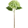 Spring^RAZ Real Touch Green Hydrangea Stem, 20.5"