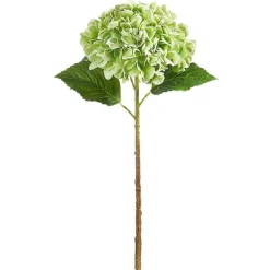 Floral^RAZ Real Touch Green Hydrangea Stem, 20.5"