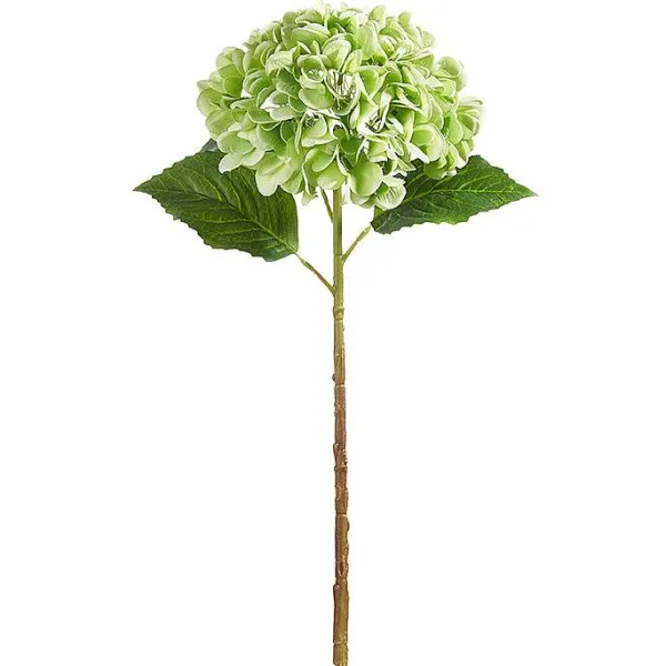 Floral^RAZ Real Touch Green Hydrangea Stem, 20.5"