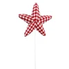Floral^Liberty Floral Red Gingham Star Pick
