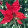 Sprays^Craig Bachman Red Textured Poinsettia