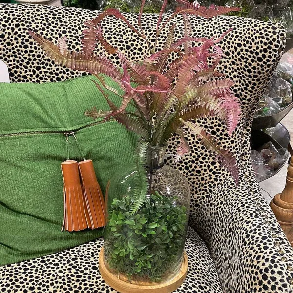 Sprays^Regency Rose Green Feather Fern Plant