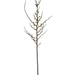 Sprays^Winward Salmon Blossom Spray