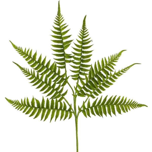 Spring Sprays^Liberty Floral Short Fern Spray