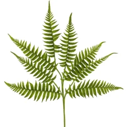 Spring^Liberty Floral Short Fern Spray