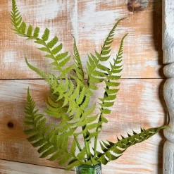 Spring^Liberty Floral Short Fern Spray
