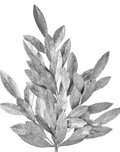 Floral Decor^Regency Silver Clustered Bay Leaf Spray