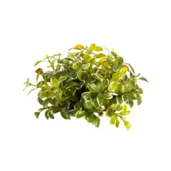 Floral Decor^CRI Small Privet Half Topper