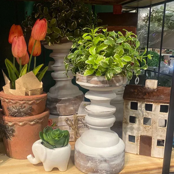 Faux Plants^CRI Small Privet Half Topper