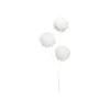 Sprays^Craig Bachman Snowball Spray
