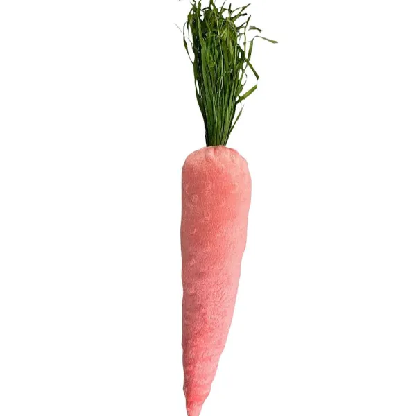 Focal Points^Liberty Floral Soft Pink Carrot