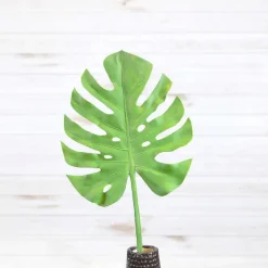Stems^Liberty Floral Split Philo Leaf Large Stem