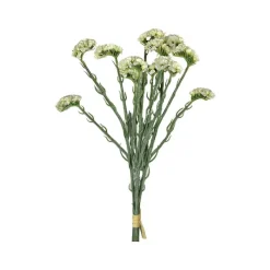Floral Decor^CRI Statice Cream Bundle