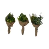 Table Decor^CRI Succulent Bouquet Three Piece Set