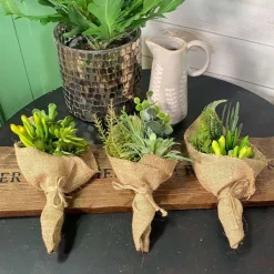 Faux Plants^CRI Succulent Bouquet Three Piece Set