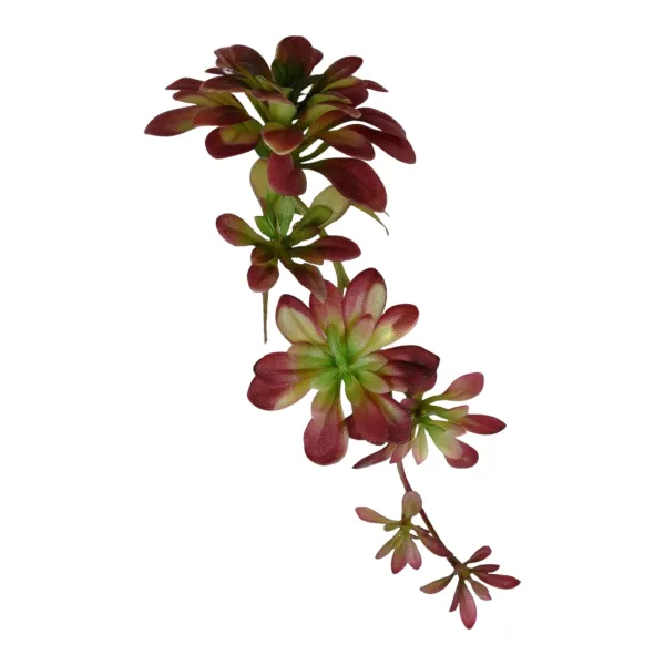Floral Decor^Direct Export Co. Succulent Hanging Pick