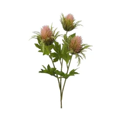 Floral^Liberty Floral Teasel Spray X3