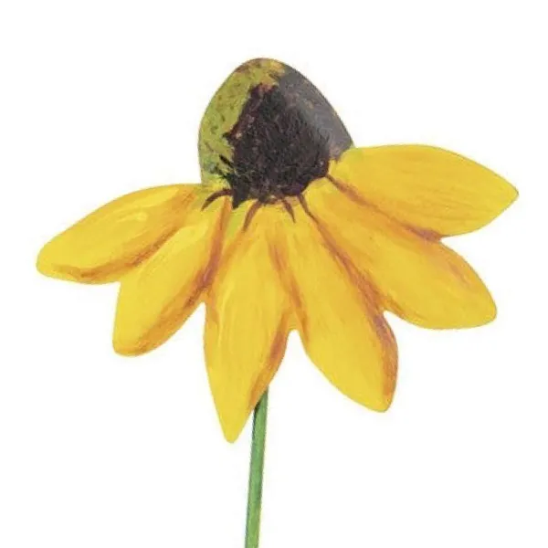 Spring^The Round Top Collection Texas Wildflowers