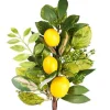 Floral^CRI Three Lemon Sprig