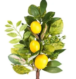 Spring^CRI Three Lemon Sprig