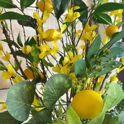 Spring^CRI Three Lemon Sprig