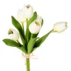Sprays^CRI Tulip Bundle, Cream