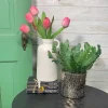 Spring^CRI Tulip Bundle, Pink