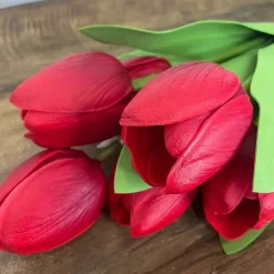 Floral^CRI Tulip Bundle, Red