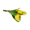 Spring^CRI Tulip Bundle, Yellow