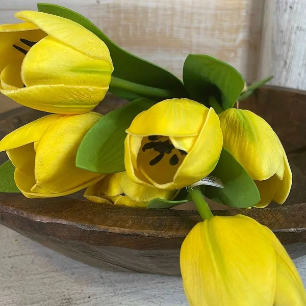 Spring^CRI Tulip Bundle, Yellow