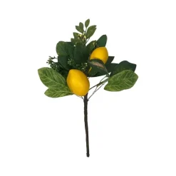 Sprays^CRI Two Lemon Mix Spray