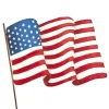 Pot Stakes^The Round Top Collection Waving American Flag