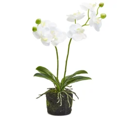 Table Decor^Two's Company White Butterfly Orchid