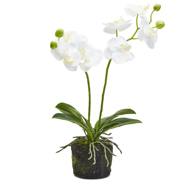 Table Decor^Two's Company White Butterfly Orchid