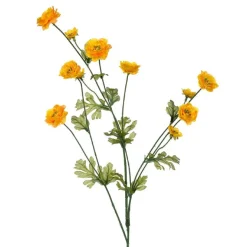 Spring^CRI Wild Ranunculus Spray