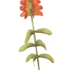 Pot Stakes^The Round Top Collection Wildflower Indian Blanket Stake