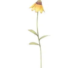 Spring^The Round Top Collection Wildflower Mexican Hat Flower Stake
