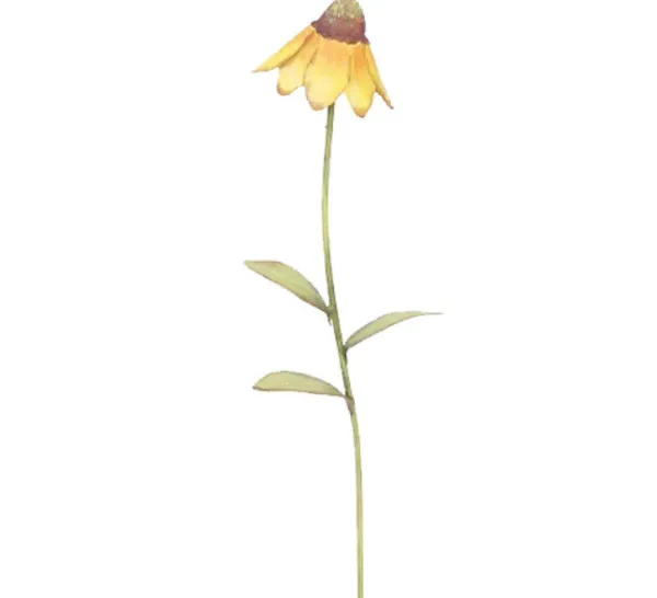Spring^The Round Top Collection Wildflower Mexican Hat Flower Stake