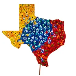 Spring^The Round Top Collection Wildflower Texas