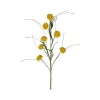 Sprays^Liberty Floral Yellow Queen Ann Grass Spray