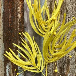 Sprays^Craig Bachman Yellow Whisp Spray